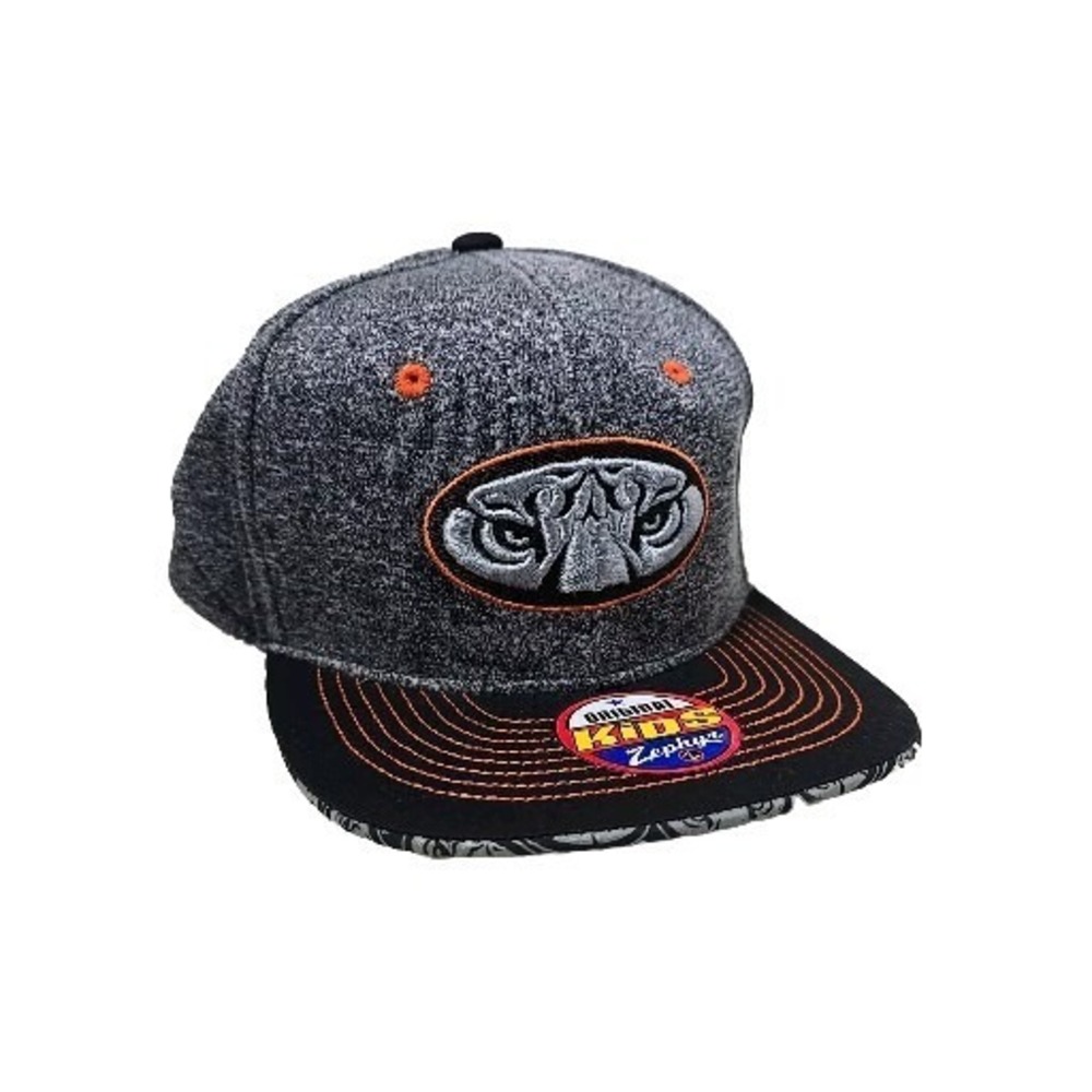 Zephyr Auburn Tigers Flex Fit Snapback Hat Youth Kids Cap Gray Orange‎ 3-D Logo